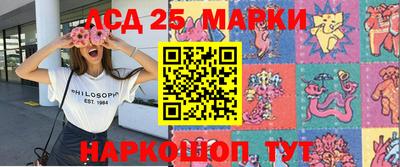 сатива Можга