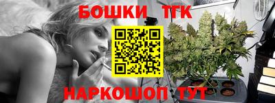 сатива Можга