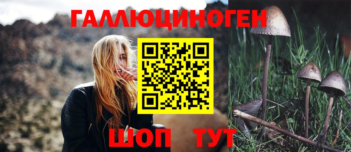 Галлюциногенные грибы MAGIC MUSHROOMS Владивосток