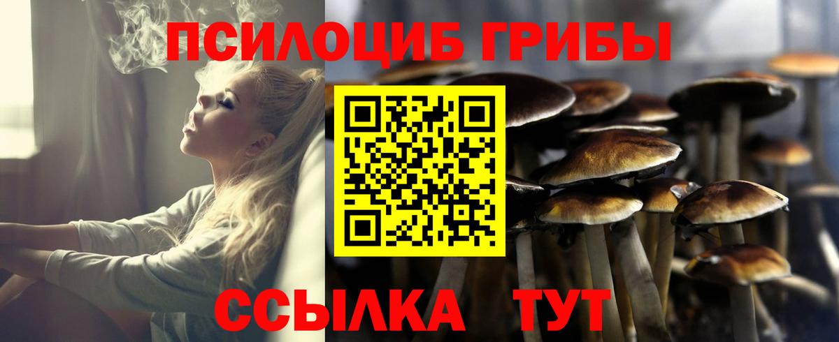 Владивосток  Галлюциногенные грибы GOLDEN TEACHER  где купить наркоту  Вход с VPN 
